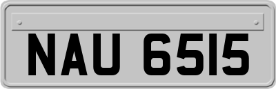 NAU6515