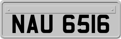 NAU6516