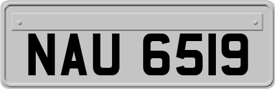 NAU6519