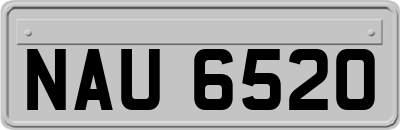 NAU6520