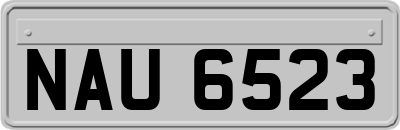 NAU6523