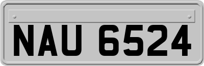 NAU6524