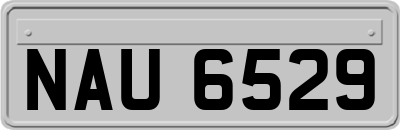 NAU6529