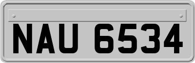 NAU6534