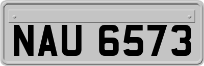 NAU6573