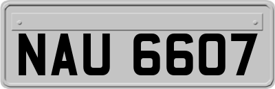 NAU6607