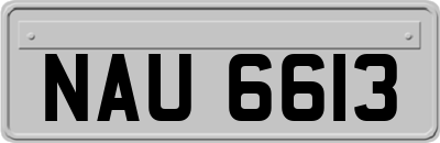 NAU6613