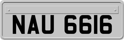 NAU6616