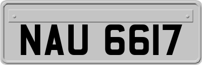 NAU6617