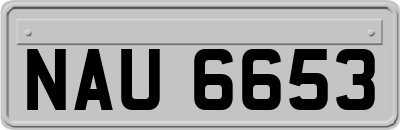 NAU6653