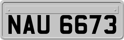 NAU6673