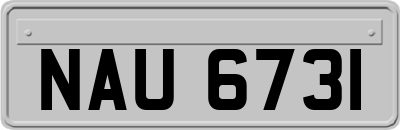 NAU6731