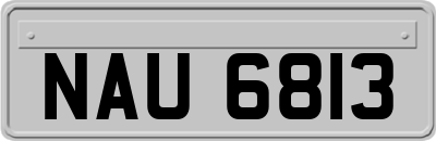 NAU6813