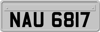 NAU6817