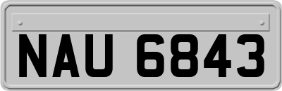 NAU6843