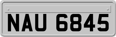 NAU6845