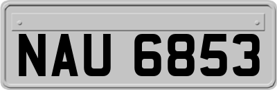 NAU6853