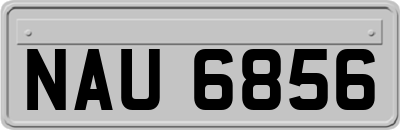 NAU6856