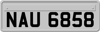 NAU6858