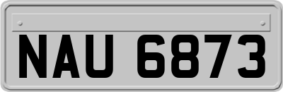 NAU6873