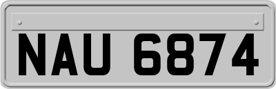 NAU6874