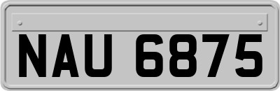 NAU6875