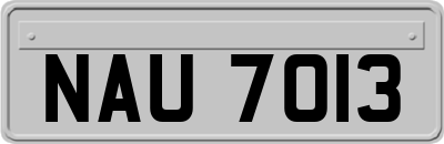 NAU7013