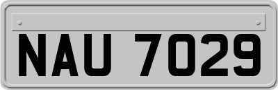 NAU7029