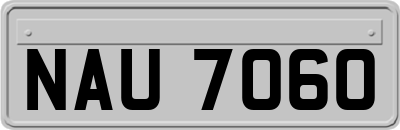 NAU7060