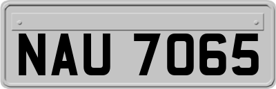 NAU7065