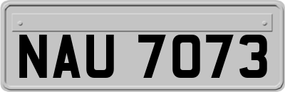 NAU7073