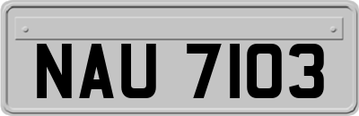 NAU7103