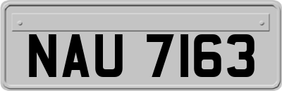 NAU7163