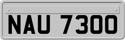 NAU7300