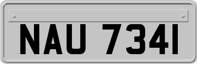 NAU7341