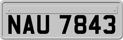 NAU7843