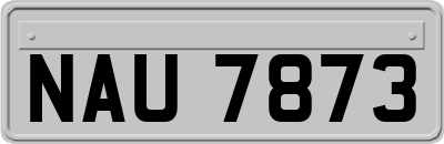 NAU7873