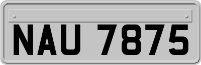 NAU7875