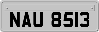 NAU8513