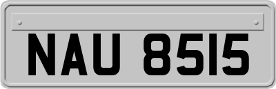 NAU8515