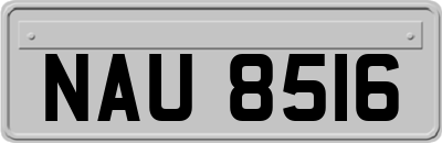 NAU8516