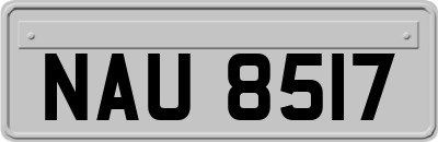 NAU8517