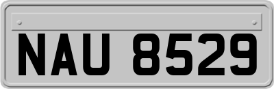 NAU8529