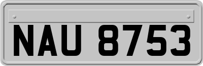 NAU8753