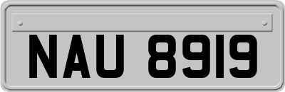 NAU8919