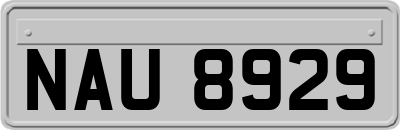 NAU8929