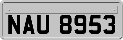 NAU8953