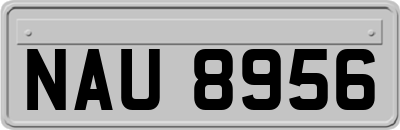 NAU8956