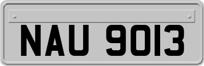 NAU9013