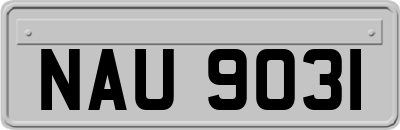 NAU9031